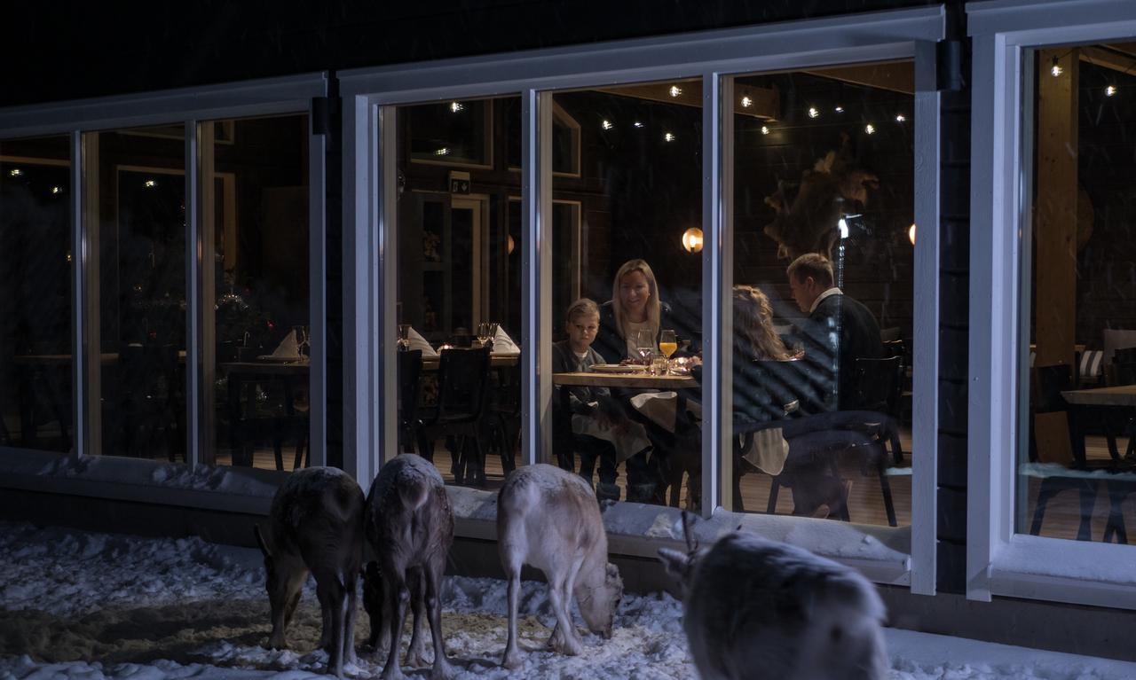 Northern Lights Ranch Levi Zewnętrze zdjęcie
